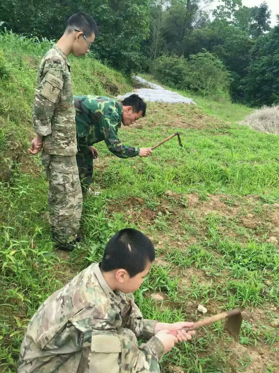 體驗(yàn)農(nóng)耕